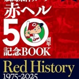 『打UP投DOWN　広島東洋カープ　2025NPBレビュー』の画像