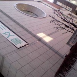 ����������������٤β���