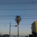 第６６６回目の稽古 (2026.2.19)