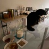 【ダイエットご飯日記】1500kcal・ホールフーズのロティサリーチキン・激安マンゴー