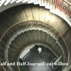 『名前どおり衆議院を7条で解散、議員追放』の画像