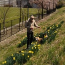 バンビハウスのビーグルたち