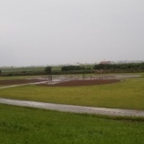 『本日15日(土)、雨天のため全グラウンド利用出来ません。』の画像