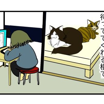 【猫との暮らし】ぶっちゃけ猫がいるとベッドウォーマーって使わないよね【近況報告】