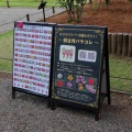 5月末の六義園と旧古河庭園Ⅱ