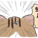 蚊事件簿