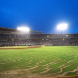 『ドーム球場で天然芝って不可能なんか？』の画像