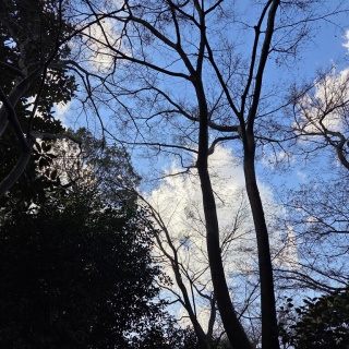 フランチャイズ地獄からの脱出  藤原義塾からの報告書