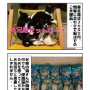 4/12里親会ご報告ほか