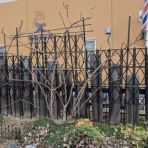 里山暮らしの雑記帳