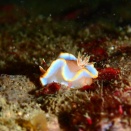 11月16日　ドライスーツシーズンになりました。