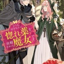 【どうも、好きな人に惚れ薬を依頼された魔女です。】