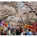 令和８年「黒磯さくらまつり」