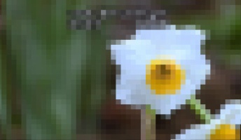 この世の終わりを感じ、不安になる画像がこちら・・・・