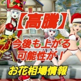 『【高騰】今後も上がる可能性が！お花相場情報！』の画像
