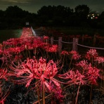 宵闇写真館・ブログ