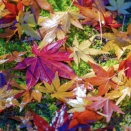 10/29 本日の結果＆オーバーナイトセクション