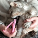 みーちゃんＨＯＵＳＥ