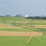 『夏が戻ってきたような暑さです』の画像