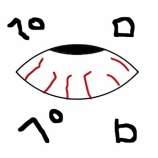 『PGM東京2024 出展者さまのご紹介⑰ White Eye Pedals さま』の画像