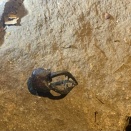 クワガタとり！ まさかの虫に掴まれる