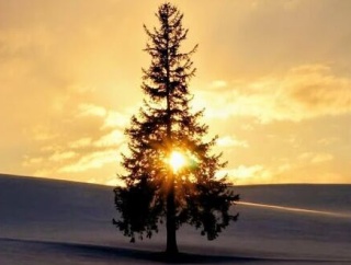 介護という職業を通じてお金を稼ぐという意味