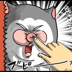 恐ろしく早い鼻クソの先にいた猫