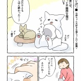 お姉ちゃん大好きな弟猫ちゃん＃７【ねこちゃんの距離】
