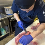『久しぶりに肉捌いちゃった！』の画像