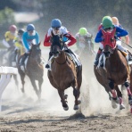 推しがダービー勝ってくれたら競馬やめる