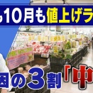 9月4923品目・10月3033品目が値上げ…パイプライン“攻撃”・海峡“制圧”で原油調達に不安？【大石解説】