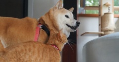 今日もすりすり♪