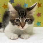 かねだい足立店ブログ