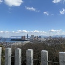 今年も宜しくお願いいたします