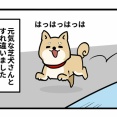 迷子のわんちゃんを追いかけて①