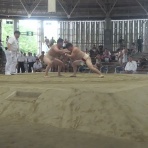 アマチュア相撲観戦記