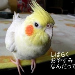 オレンジほっぺと緑の翼