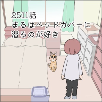 あんこ＆麦2611 まるはベッドカバーに潜るのが好き