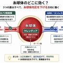 腎機能を悪くしない（ケースによっては良くなる）薬