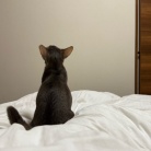 お布団の取り合い