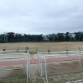 県立川和高等学校グラウンド