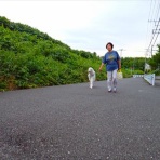 いんちょブログ
