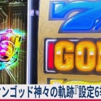 亮磁極回胴夫婦記