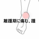 『離踵期に痛む踵の痛み 登別室蘭すのさき鍼灸整骨院　症例報告』の画像