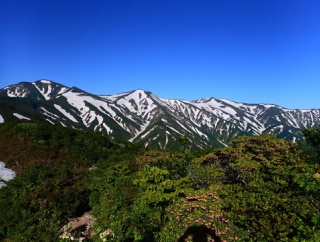 ☆★ヒメサユリ咲き始めた大朝日岳稜線〜古寺ルート情報