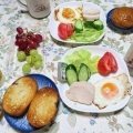 羽繕いするツバメ　～サラダチキンの朝ご飯、スシローで晩ご飯～