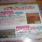 『2014/6/1　ポピー　鴻巣市　』の画像