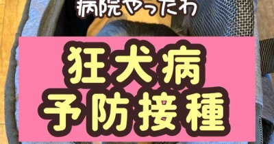 ポコちゃん初受診。