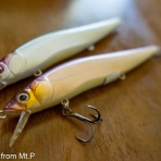 Flyfishing+ from Mt.Pigeons!