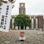 女子枠の正式名称『みいちゃん枠』で決まる　京都大学みいちゃん枠は定員割れに